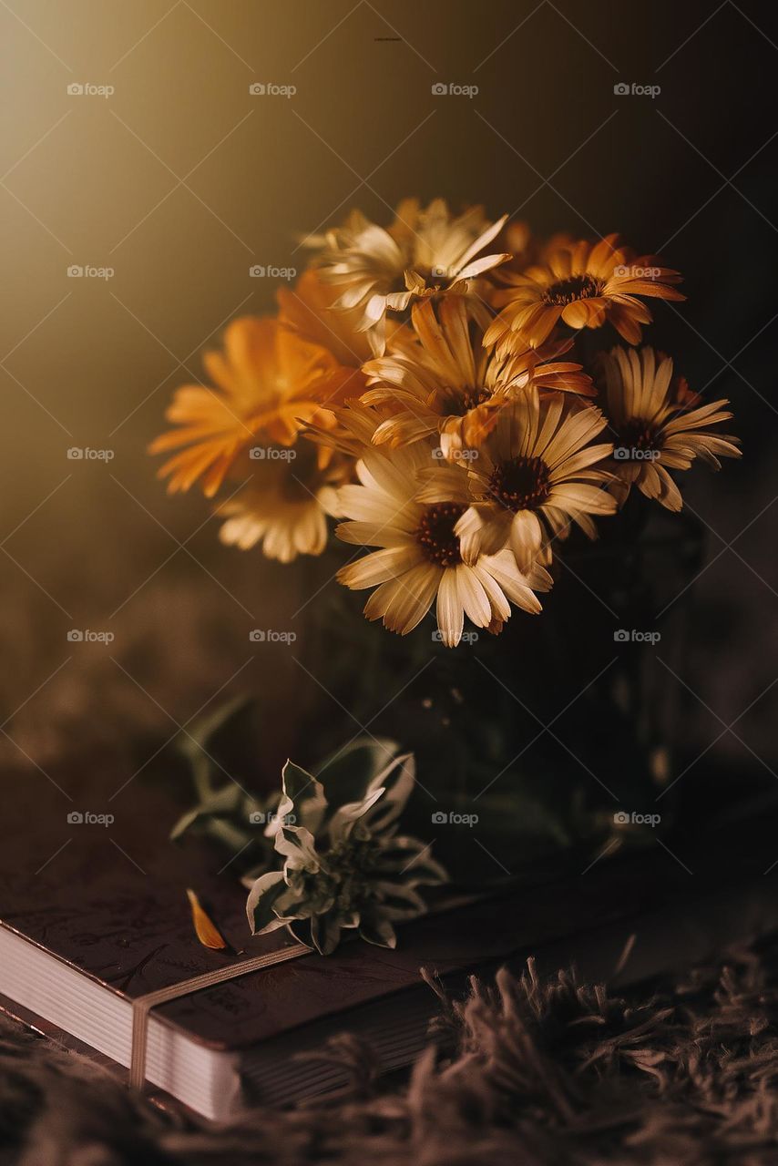 "You, like no one in the universe, deserve your love." ~ Buddha