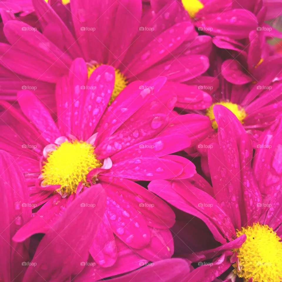 Drops
