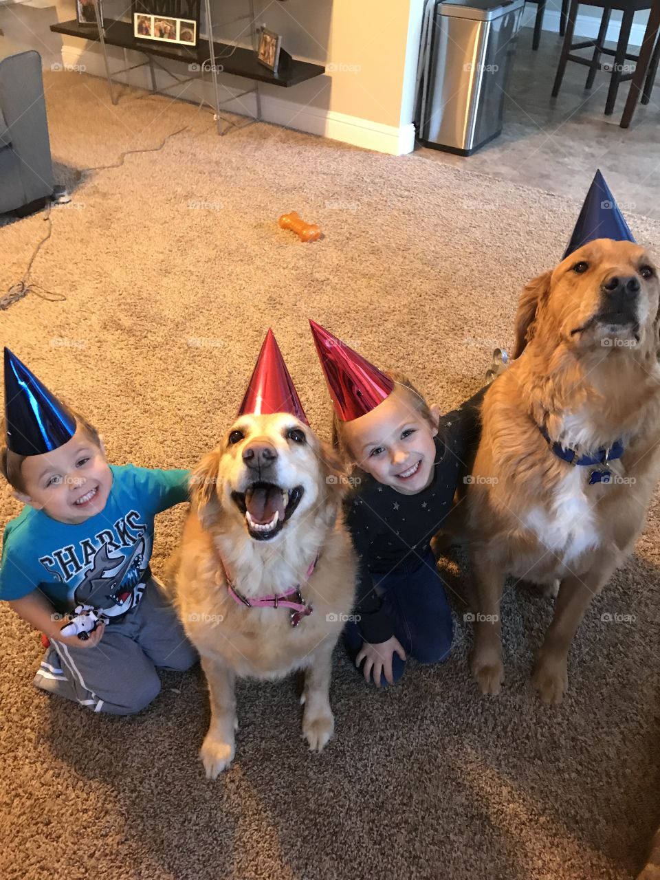 Puppy birthday