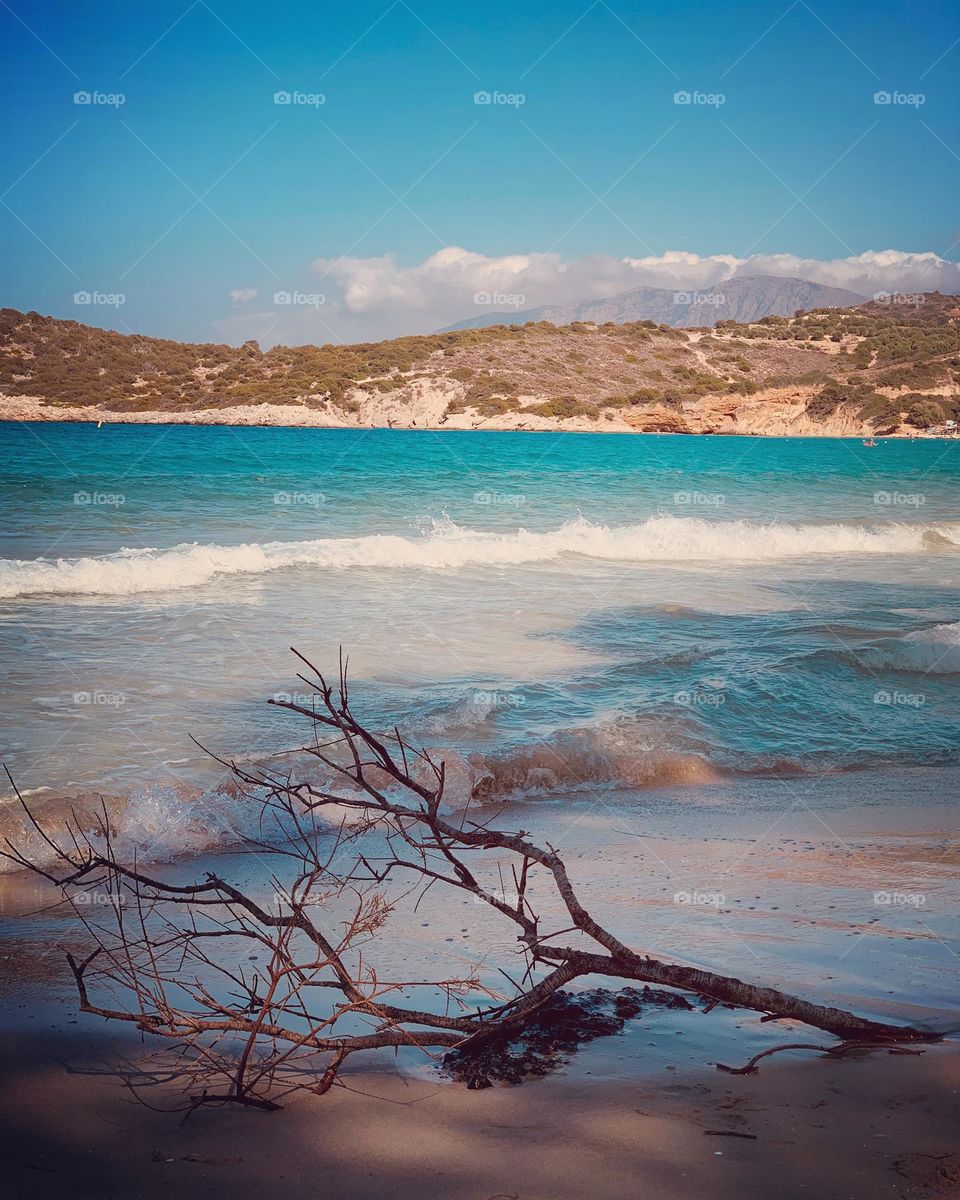 Abandoned in a beach