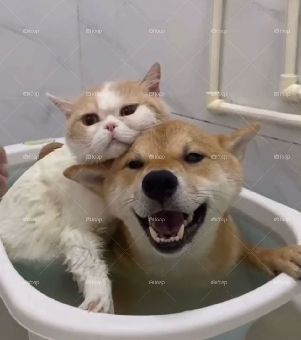 Taking a Bath