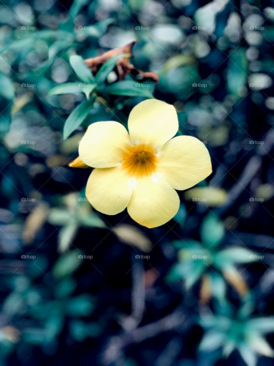 Silence speaks when words can”t. 