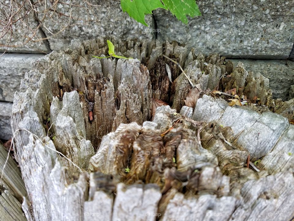 Wooden Post