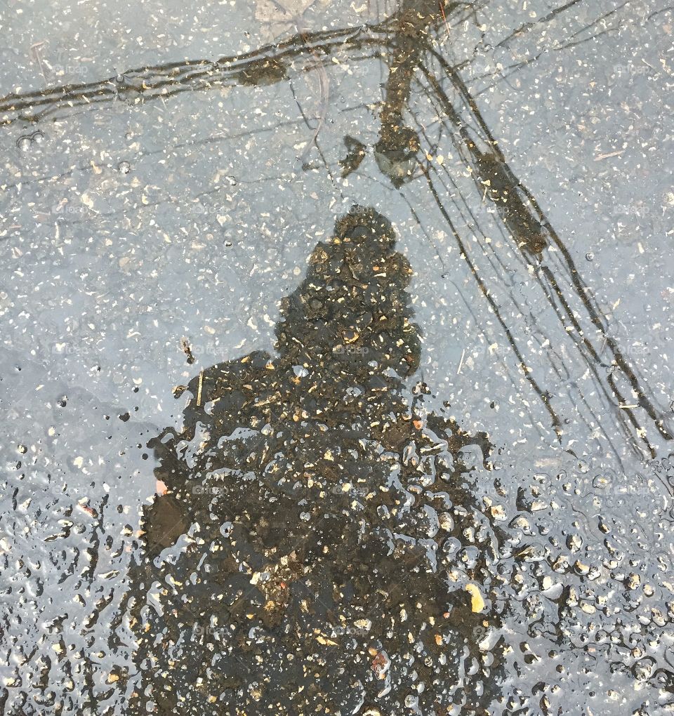 Self portrait in rain puddle 