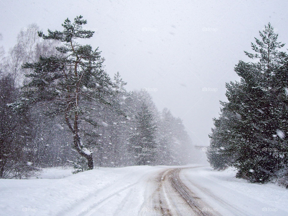 snowy road in winter