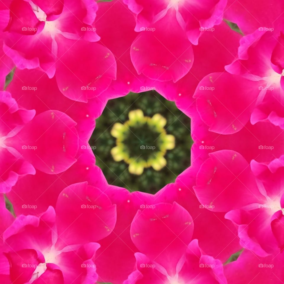 Kaleidoscope Flowers