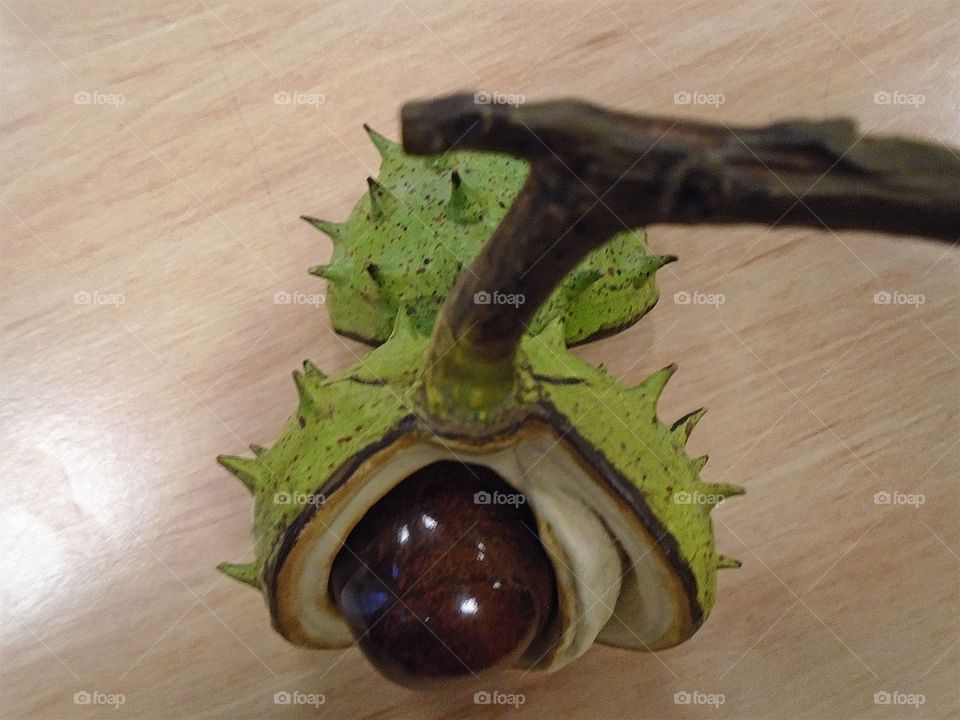 a face conker