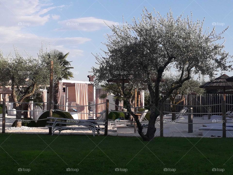 at the thermal pools