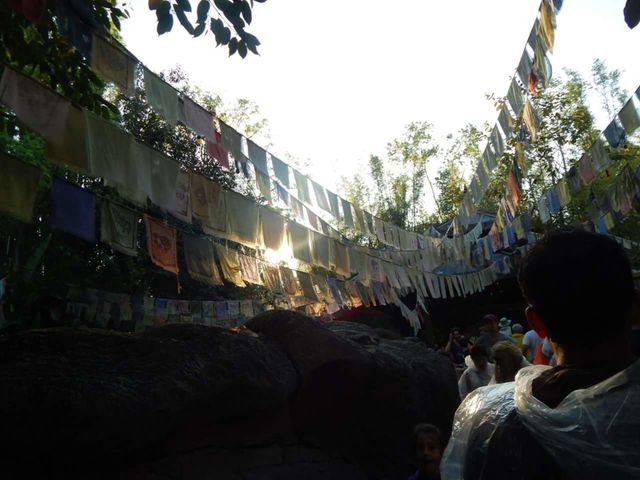 chinos. disney vacation