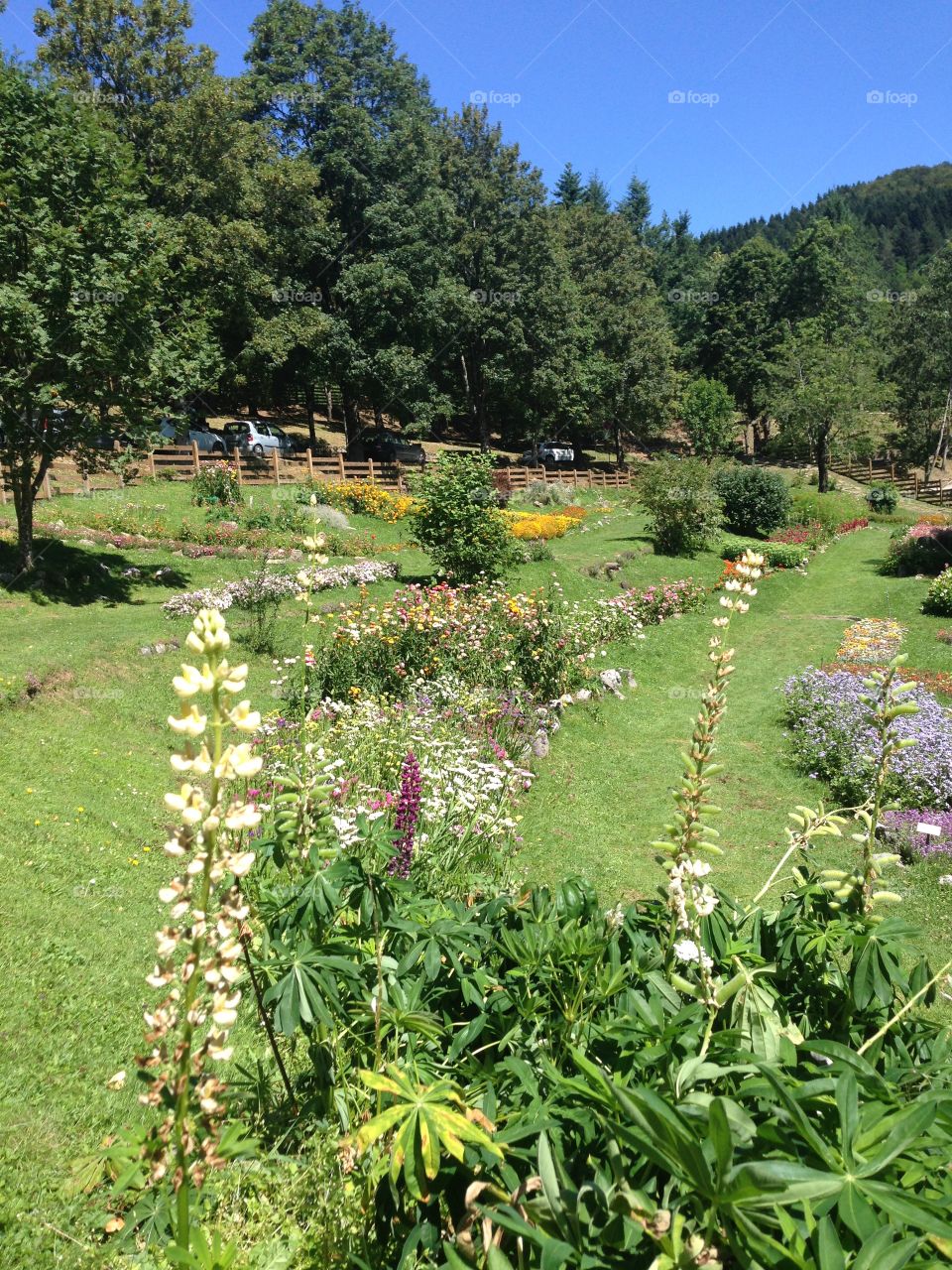 Parco dell'Orecchiella Alta Garfagnana Lucca