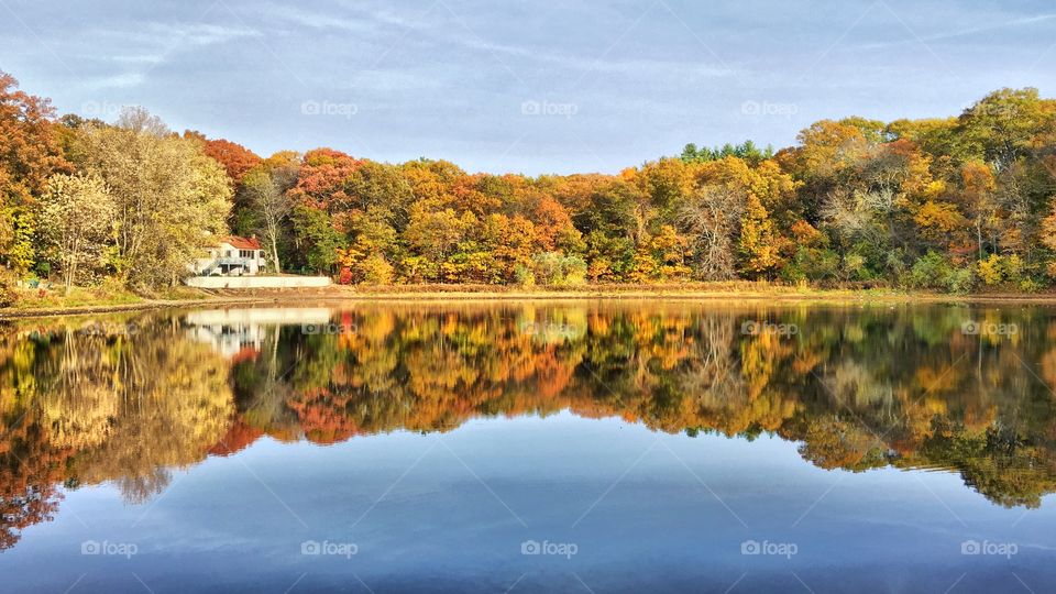New England reflections