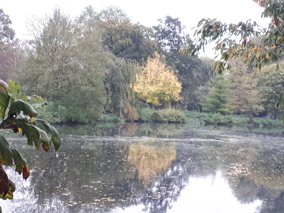 Autumn Lake