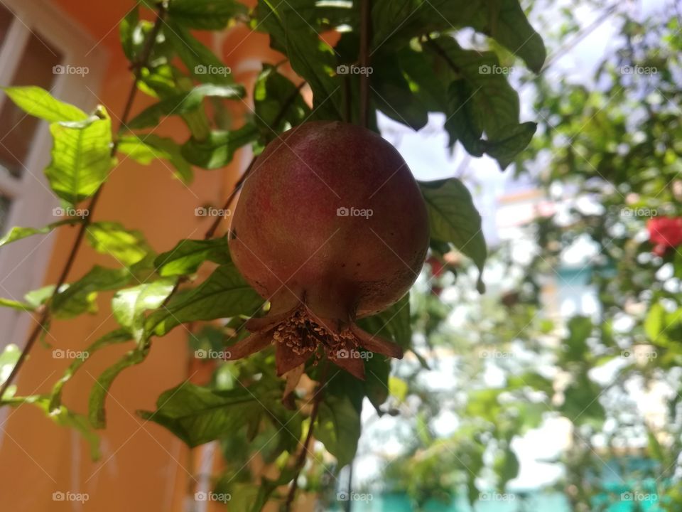 good autumn session time