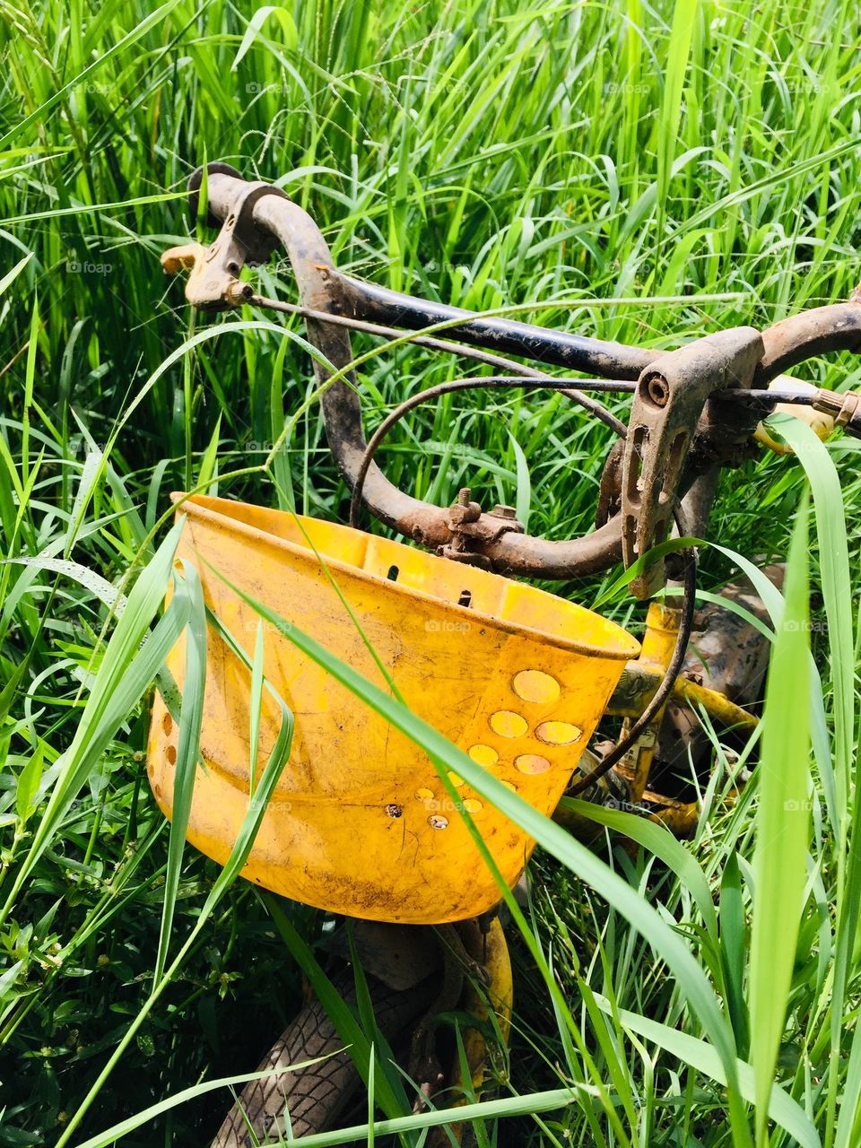 Old and broken Bicycle 