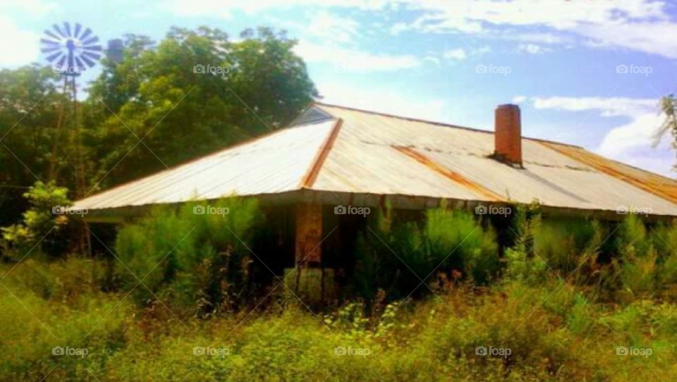 South Georgia Home with Windmill