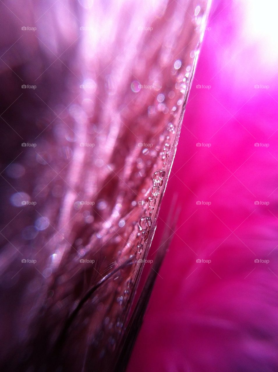 landscape sweden pink macro by miss_falcon