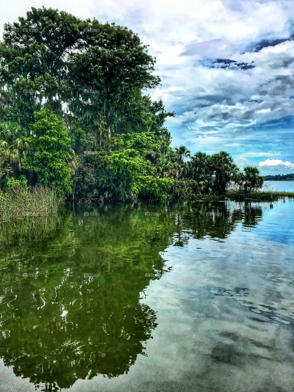 Scenic Lake Dora