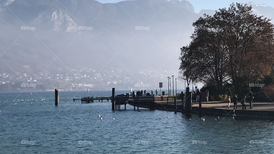 annecy lake French france bird water