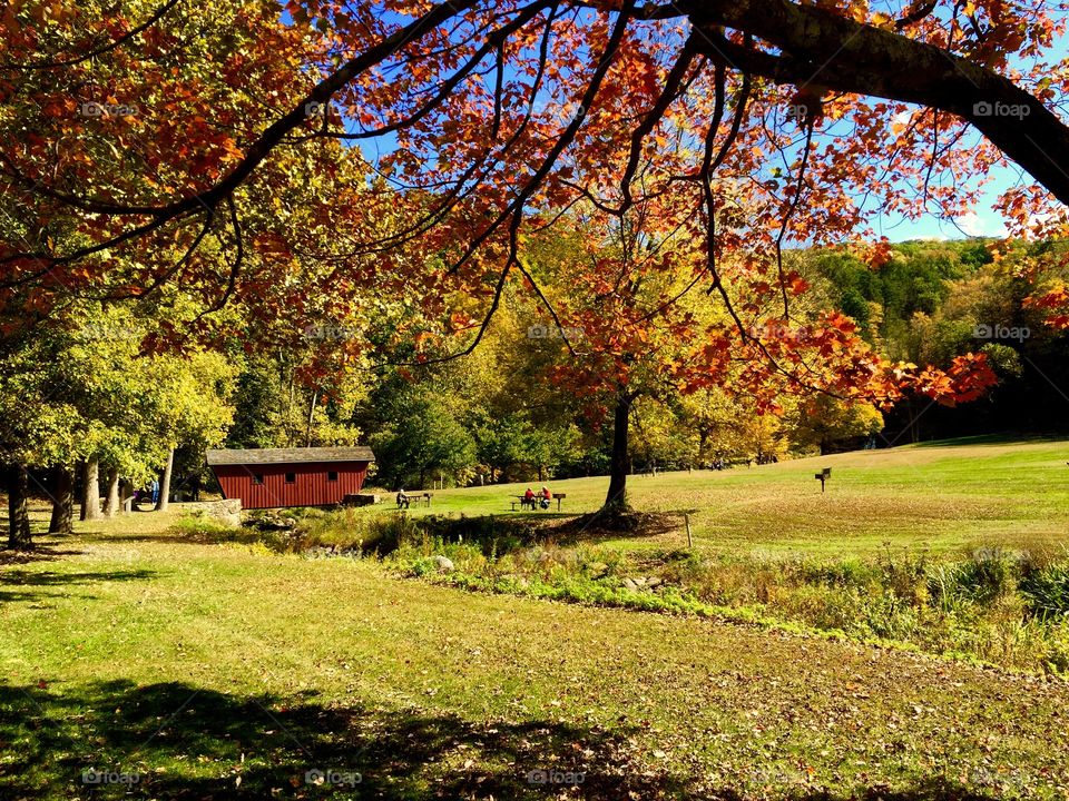 Kent Falls State Park, CT