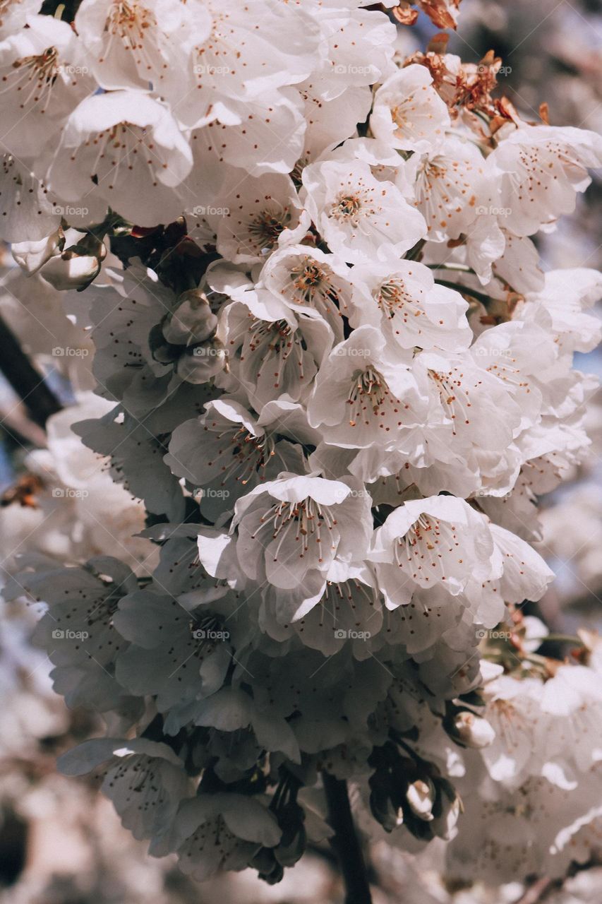 Dare to be different.  Each color in this photo will be experienced differently by each of us.  How beautiful life is.  Is it?