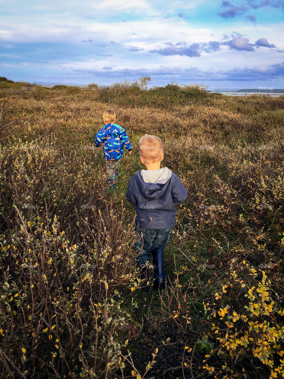 A walk in the country