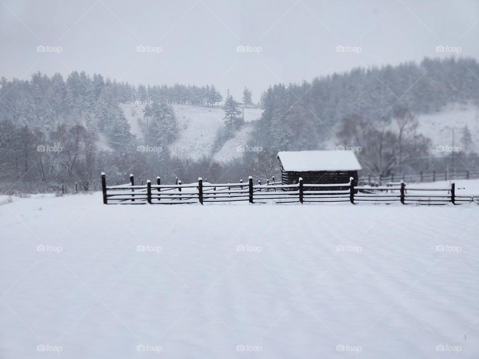 All white covered outside