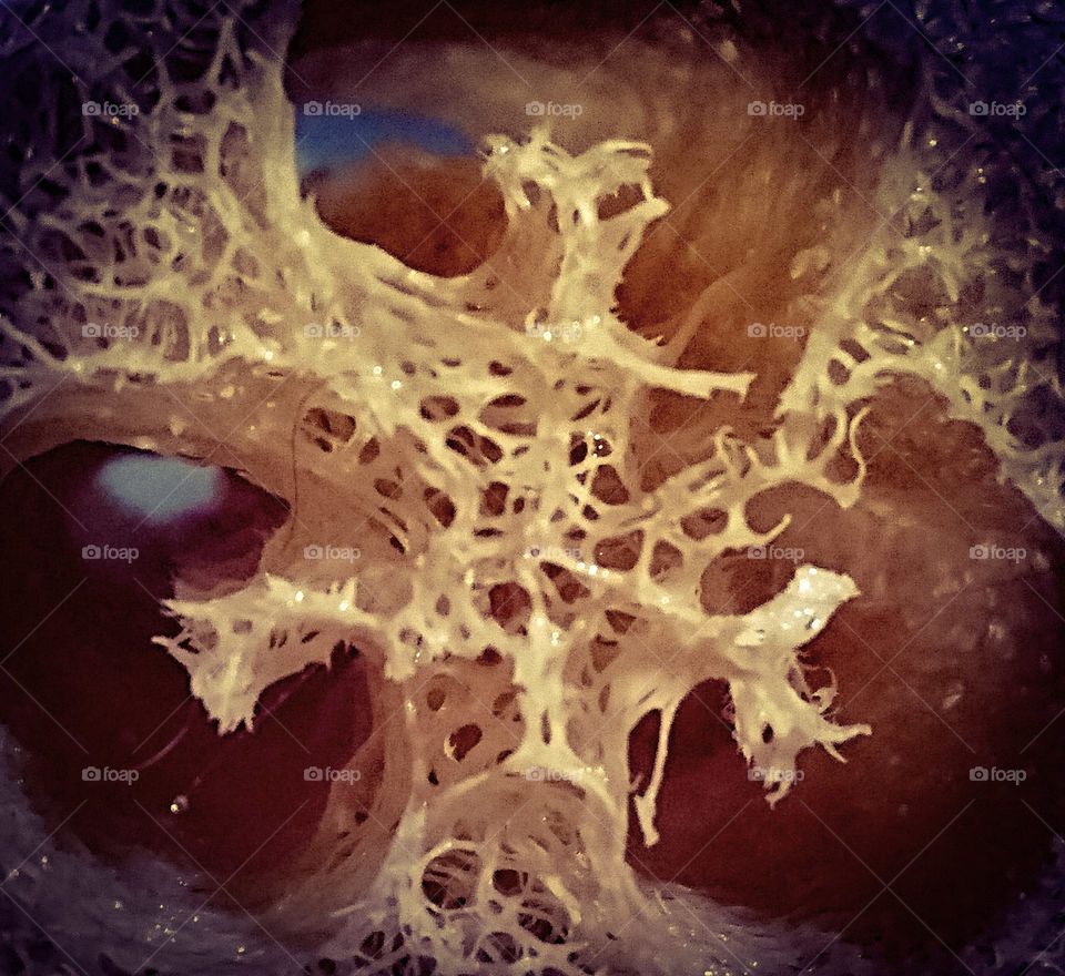 playing about with randomness