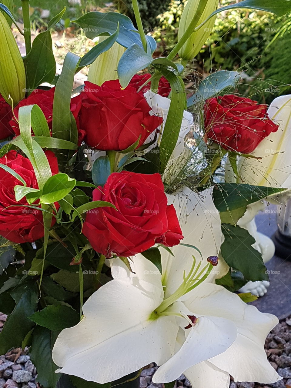 rote und weiße Blumen