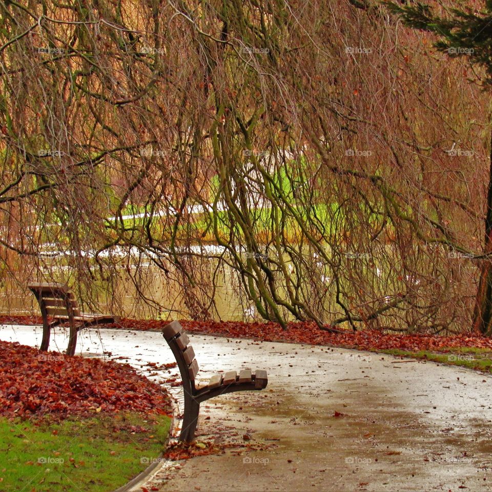 In the park