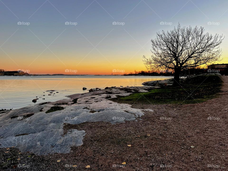 Tranquil silent landscape with rocky sand shore with single bare tree and and bright sunset horizon over the Baltic Sea on the background