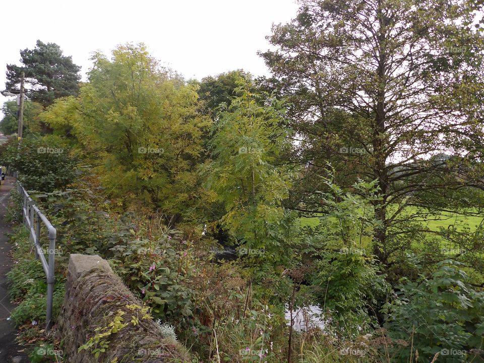 View of river watford rd new m. Taken 11oct 15