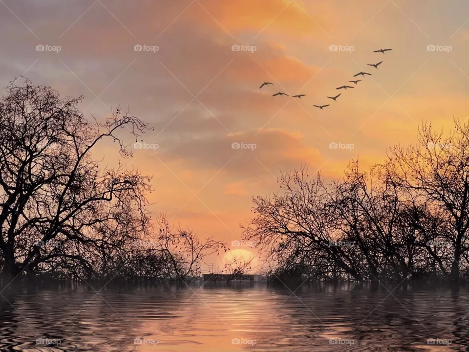 Sunset 