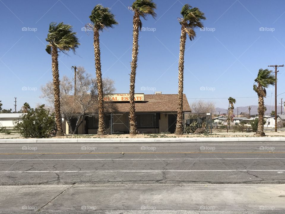 Somewhere in the Desert 