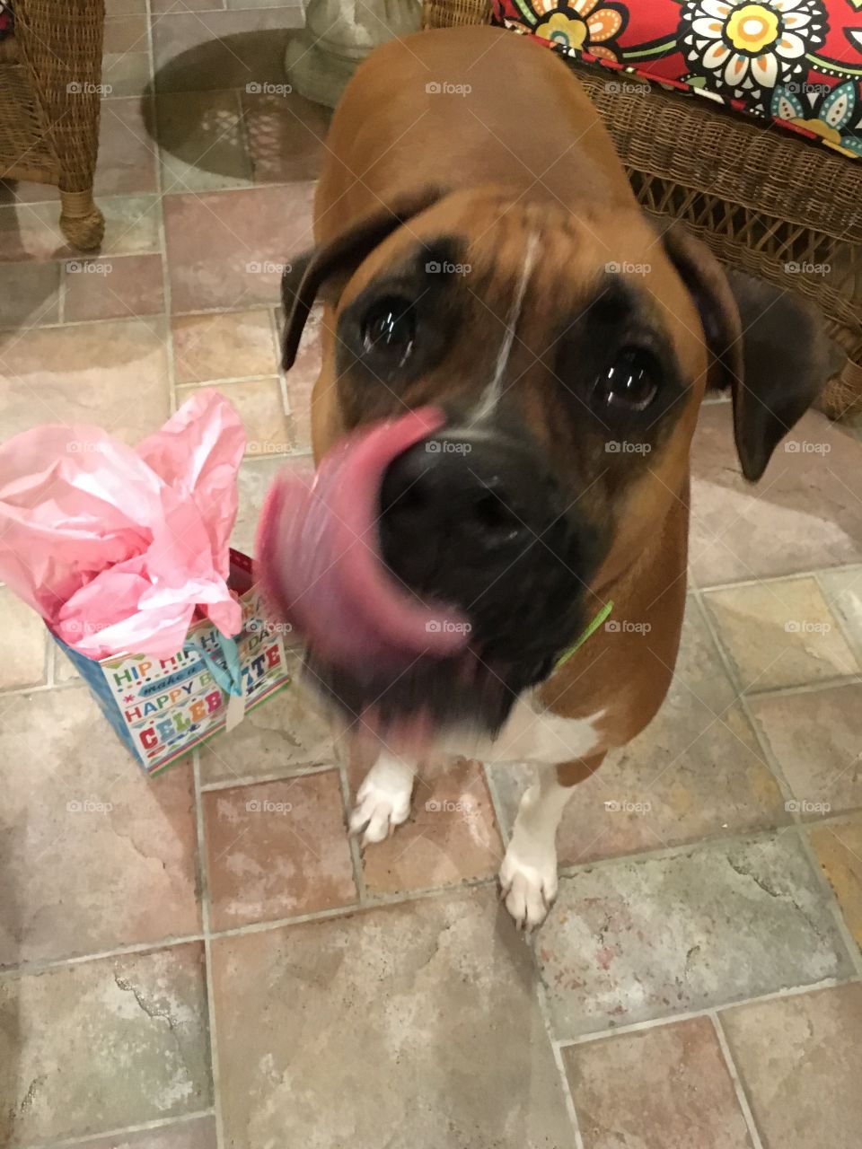 Stuffed cabbage and veggies
