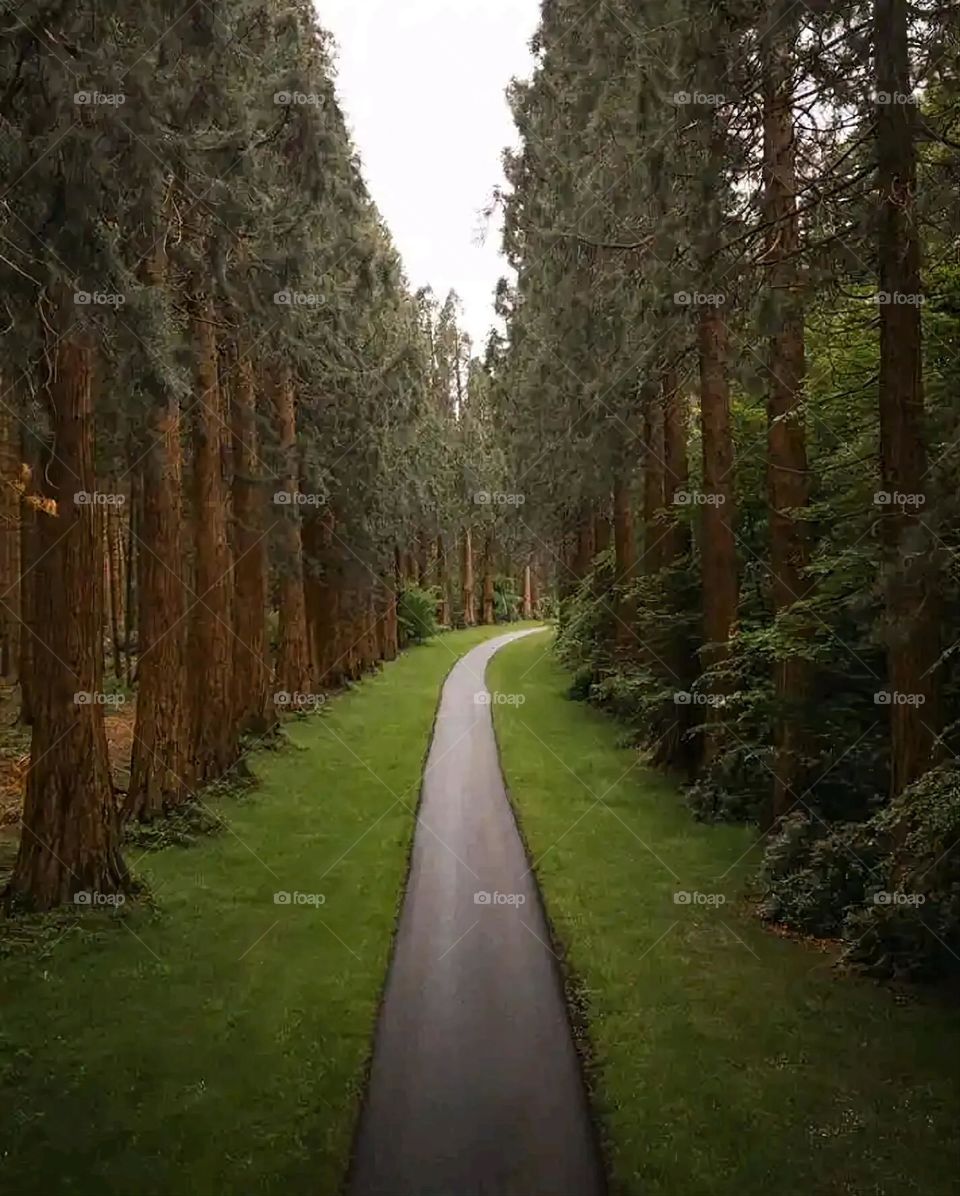 Glory be to God, the magnificent and picturesque view and the natural green trees are a view that is nothing more wonderful than it