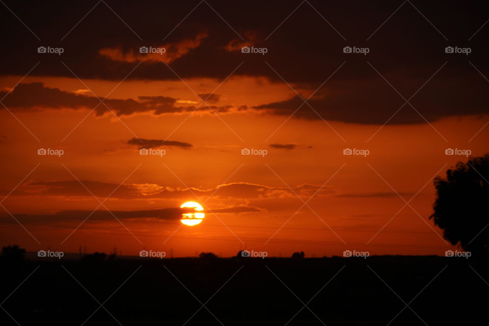 Golden sunset in summer