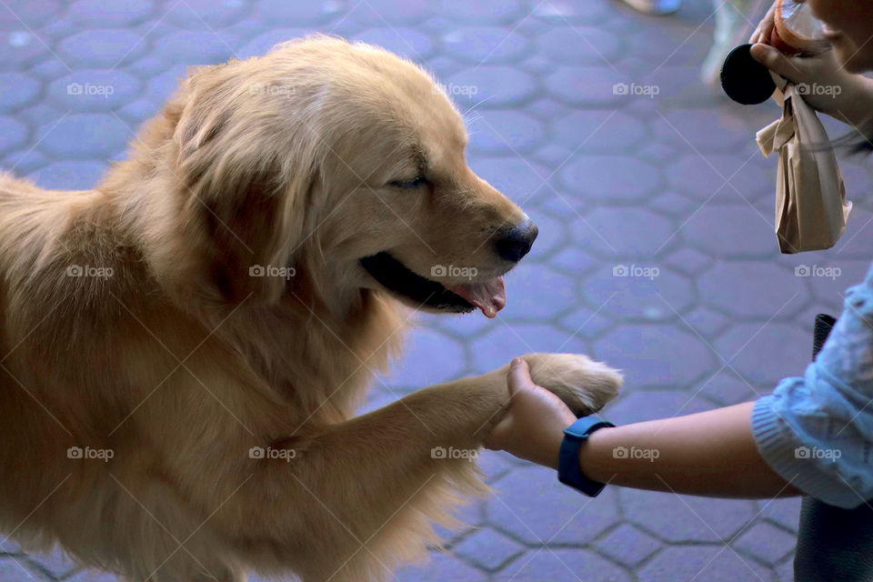 Andrei, the gentle giant. He’s kind of a local celebrity in our town. :)