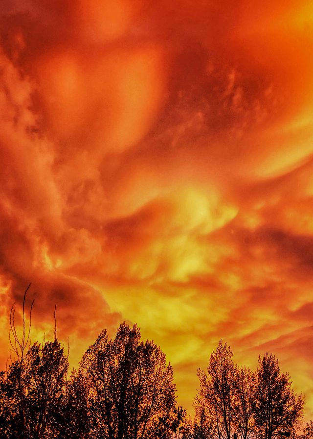 Unearthly Skies