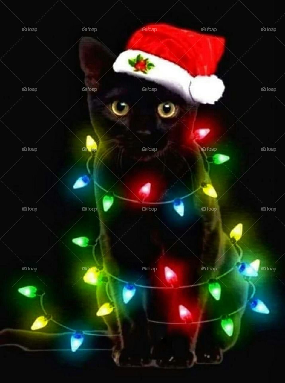 Christmas black cat