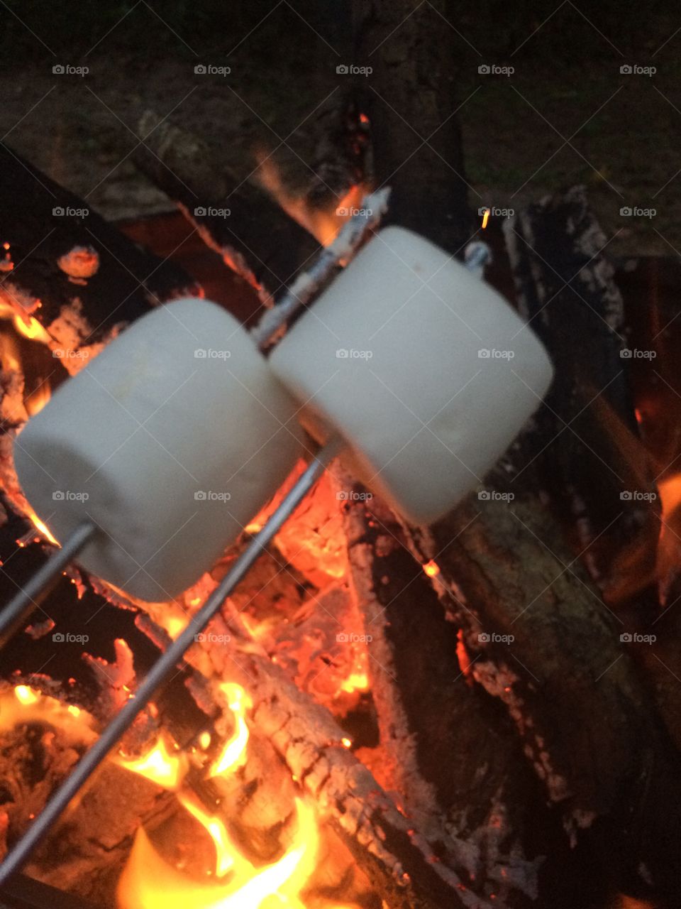 Roasting marshmallows by an open fire 