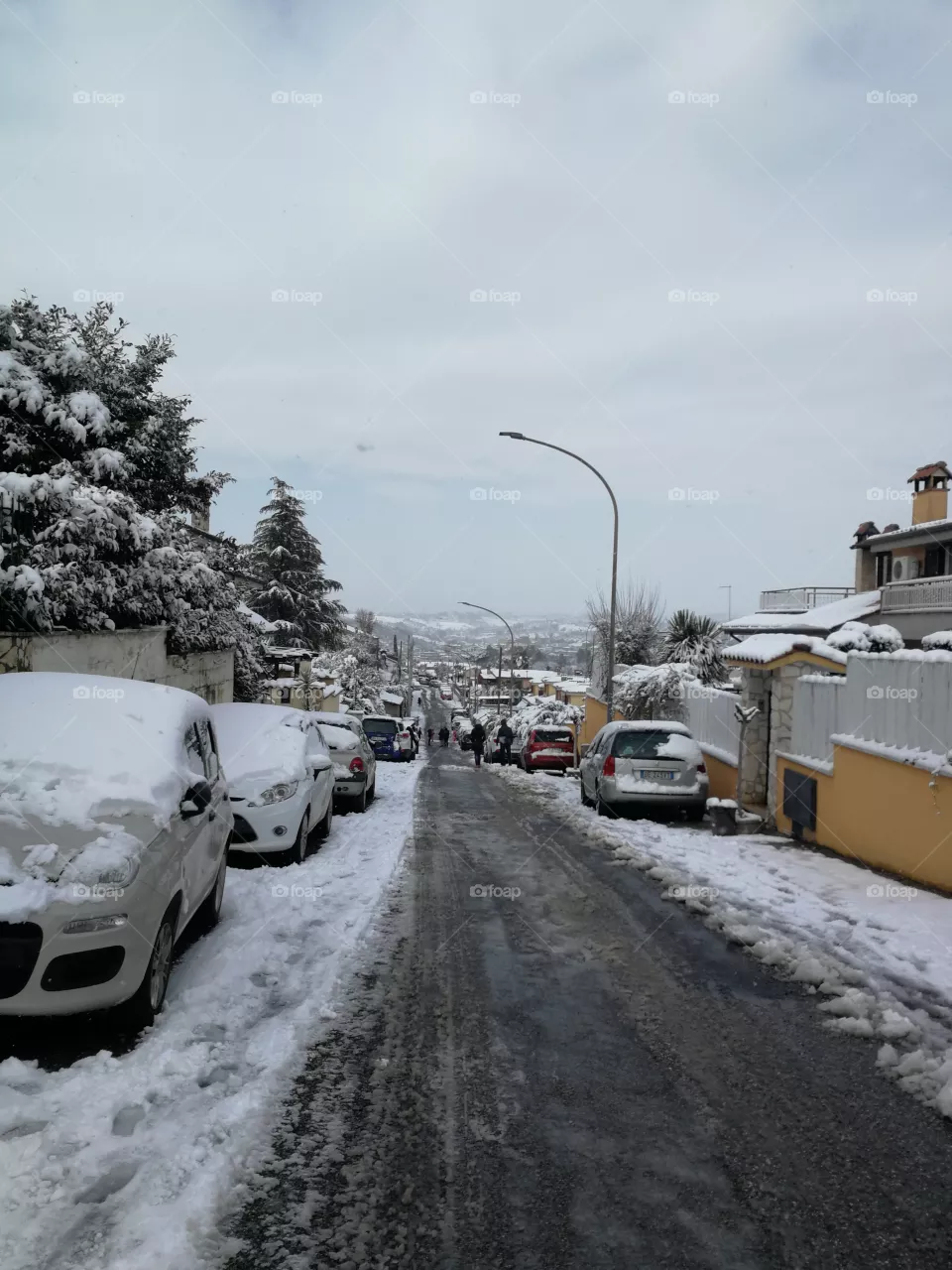 Street