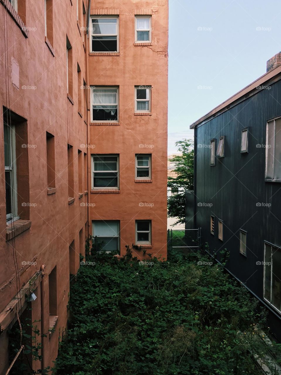 View of old apartment building with green overgrowth 