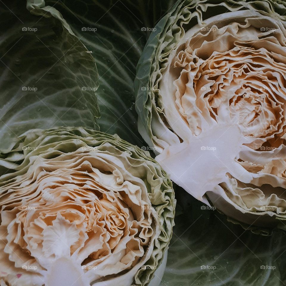 Сезон ранньої капусти