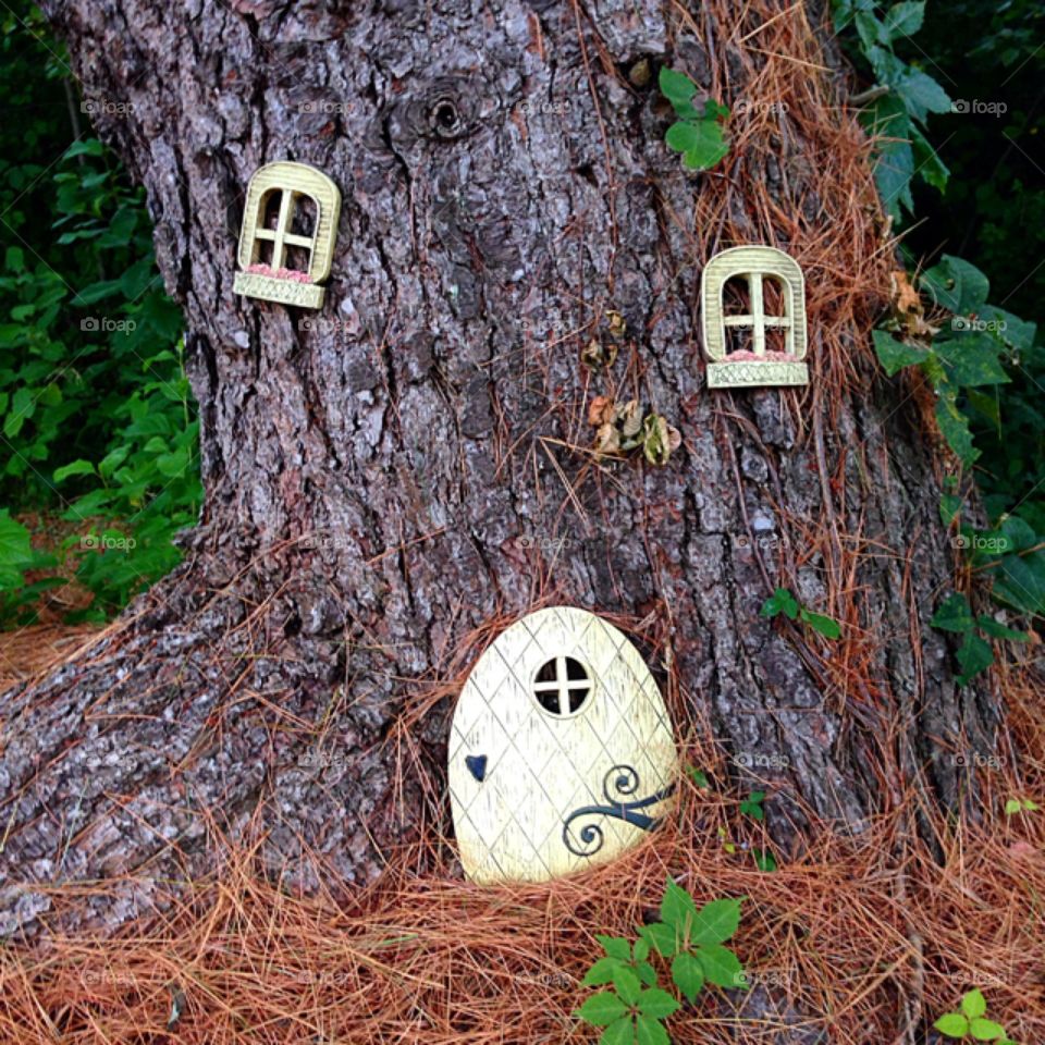 Tree house for gnomes and fairies 