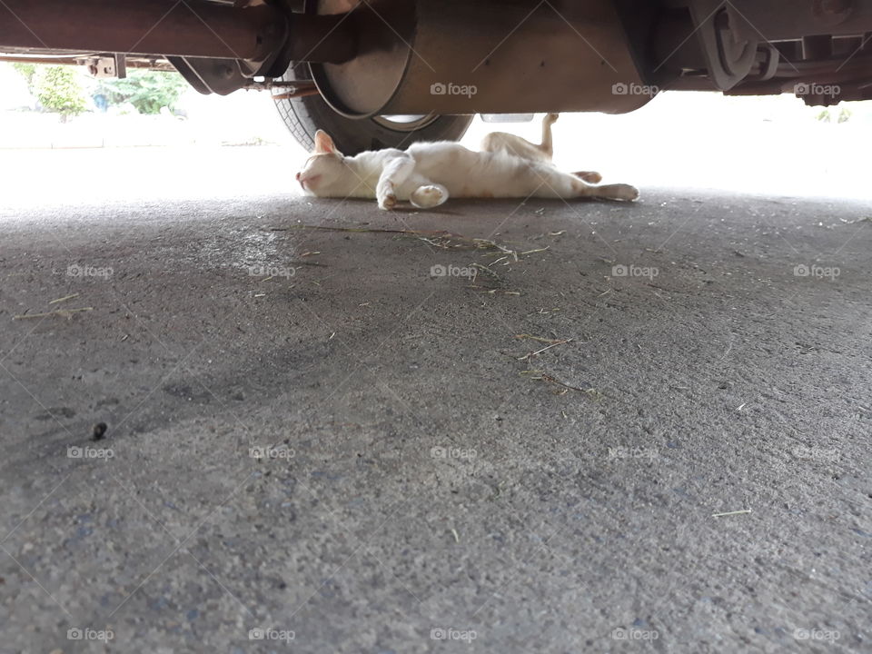 slp under the car dmk