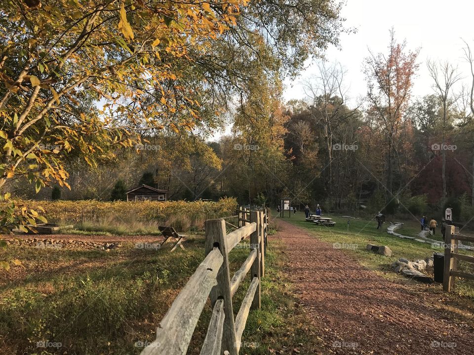 Beautiful fall in the south 