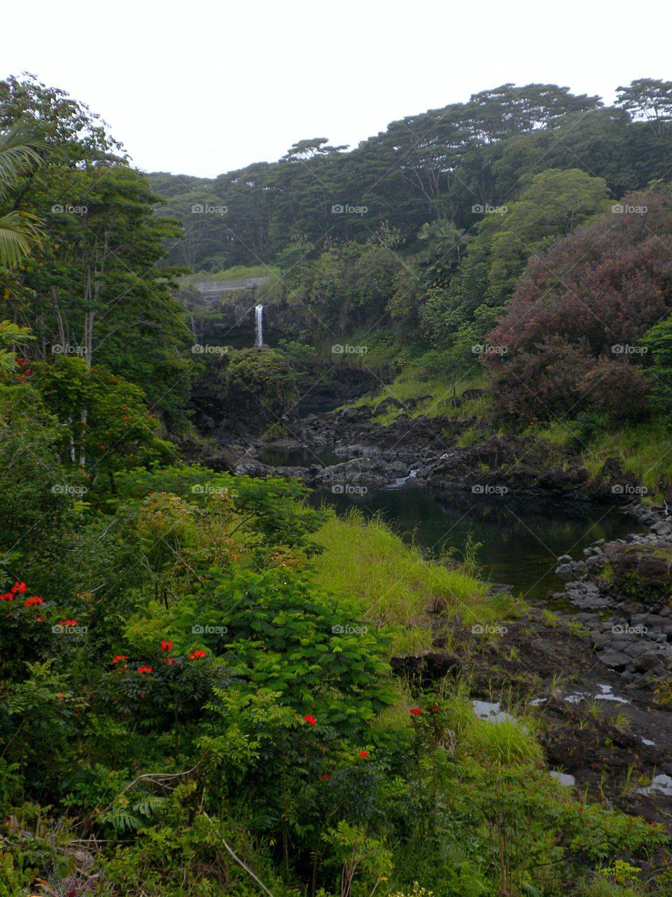 Hawaii scape