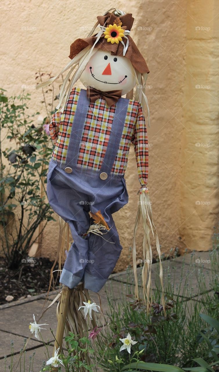 A traditional scarecrow 