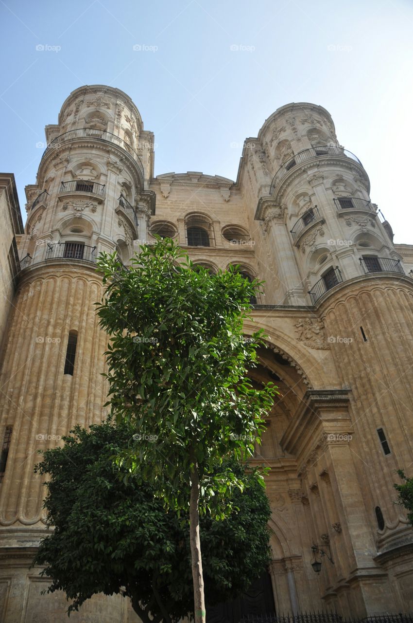 Giralda cathedral Sevilla