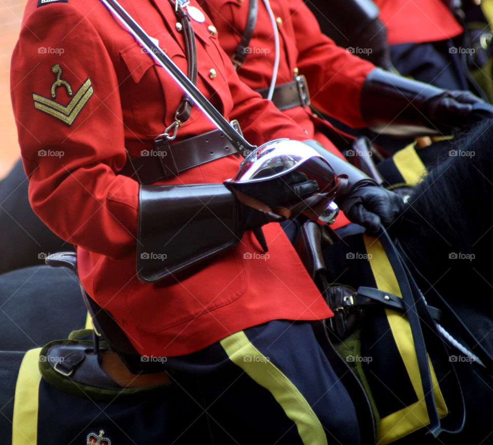 The Royal Canadian Mounted Police 
